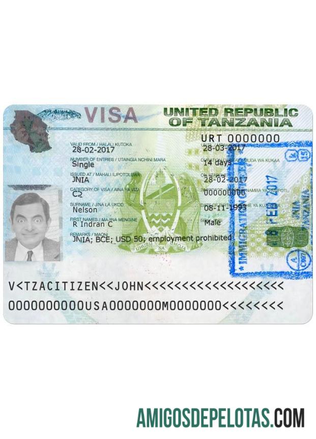 Visto de viagem para TANZÂNIA versão 2 amostra